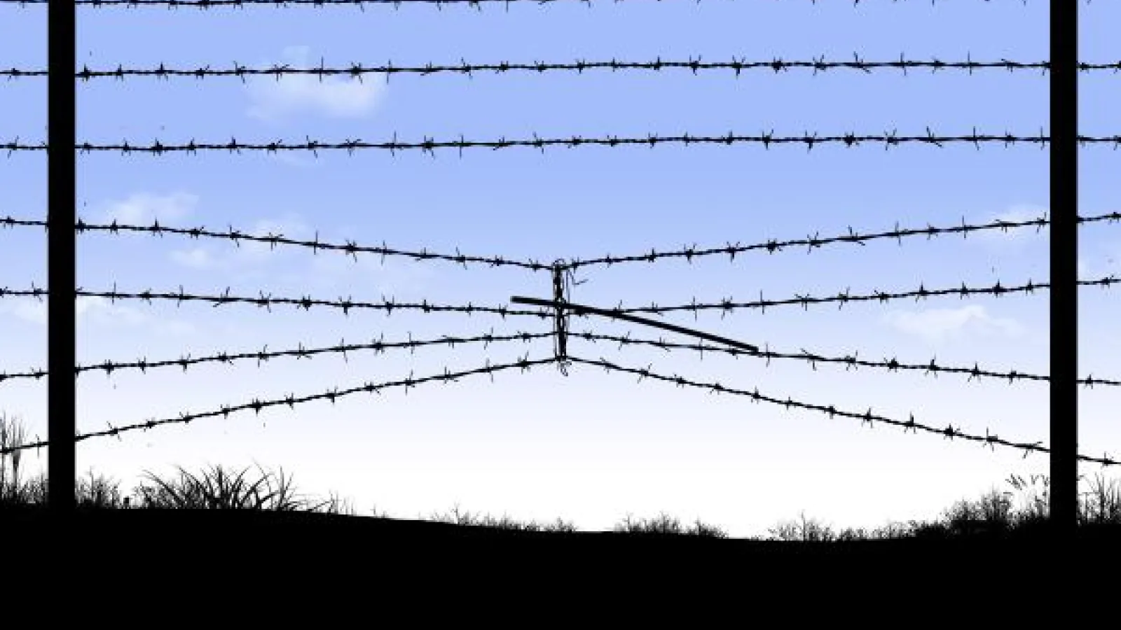 A section of barbed wire fence over a grassy horizon