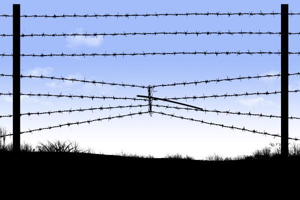 A section of barbed wire fence over a grassy horizon